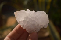 Natural White Cactus Flower Spirit Quartz Specimens x 12 From Boekenhouthoek, South Africa - Toprock Gemstones and Minerals