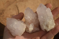 Natural White Cactus Flower Spirit Quartz Specimens x 12 From Boekenhouthoek, South Africa - Toprock Gemstones and Minerals