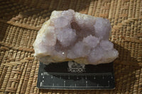 Natural Mixed Spirit Quartz Clusters x 6 From Boekenhouthoek, South Africa - Toprock Gemstones and Minerals