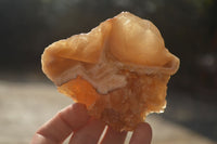 Natural Honey Aragonite Etched & Cobbed Pieces  x 6 From Namibia - Toprock Gemstones and Minerals