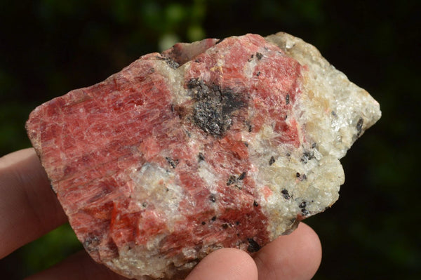 Natural Cobbed Rhodonite, Quartz & Chromite Pieces x 6 From Rushinga, Zimbabwe - TopRock