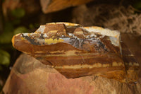 Natural Rough Nguni Jasper Cobbed Specimens  x 12 From Southern Africa - Toprock Gemstones and Minerals