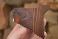 Natural Rough Nguni Jasper Cobbed Specimens  x 12 From Southern Africa - Toprock Gemstones and Minerals