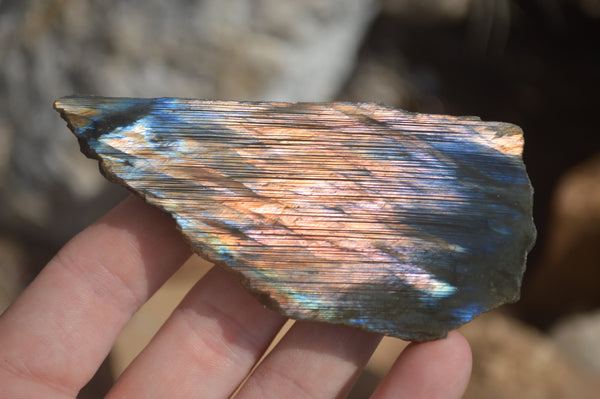 Polished One Sided A Grade Labradorite Flashy Specimens - Sold per 1 Kg (18-25 per pack) - From Tulear, Madagascar - Toprock Gemstones and Minerals 