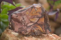 Natural Rough Nguni Jasper Cobbed Specimens  x 12 From Southern Africa - Toprock Gemstones and Minerals