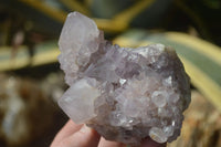 Natural Spirit Amethyst Quartz Clusters  x 4 From Boekenhouthoek, South Africa - Toprock Gemstones and Minerals