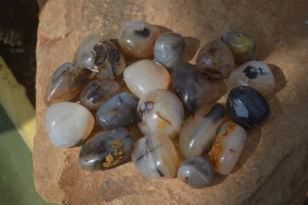 Polished A Grade Dendritic Agate Free Forms  - Sold per 1 kg (39-52 per pack) - From Moralambo, Madagascar - Toprock Gemstones and Minerals 
