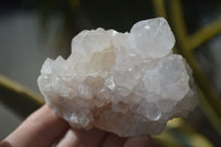 Natural White Spirit Cactus Quartz Specimens  x 6 From Boekenhouthoek, South Africa - Toprock Gemstones and Minerals