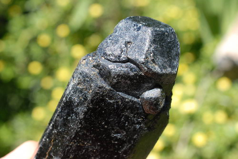 Natural Alluvial Black Tourmaline Crystals x 6 From Zimbabwe - TopRock