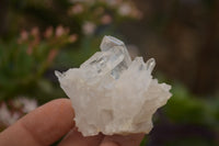 Natural Mixed Selection Of Quartz Specimens x 35 From Southern Africa - Toprock Gemstones and Minerals
