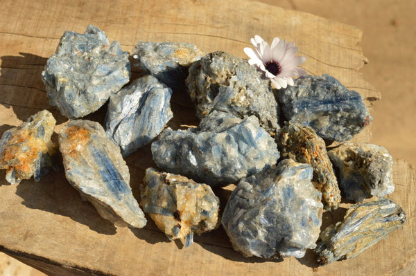 Natural Blue Kyanite Crystals In Schist Specimens  x 14 From Karoi, Zimbabwe - TopRock