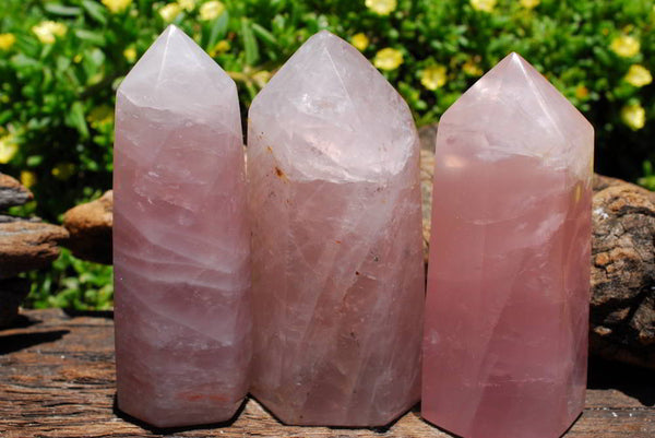 Polished Exceptional Rose Quartz Crystal Points x 6 From Madagascar - TopRock