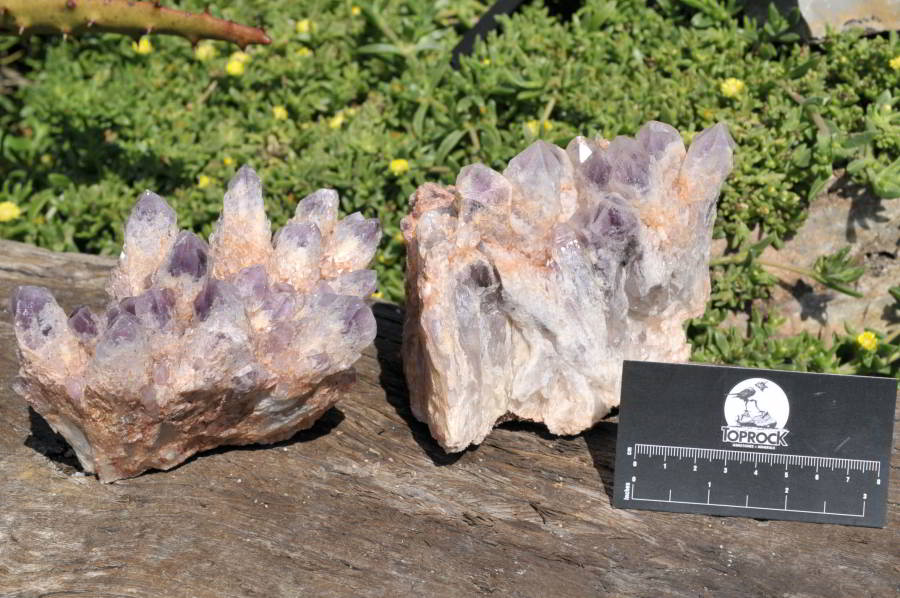 Natural Sugar Amethyst Phantom Clusters x 2 From Solwezi, Zambia - TopRock