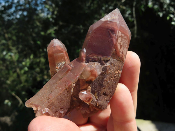 Natural Large Single Red Hematoid Quartz Crystals x 12 From Zimbabwe - TopRock