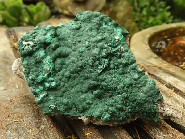 Natural Micro Botryoidal Malachite Specimens  x 6 From Congo - TopRock