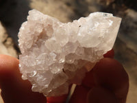 Natural White Cactus Flower Spirit Quartz Specimens x 35 From Boekenhouthoek, South Africa - Toprock Gemstones and Minerals