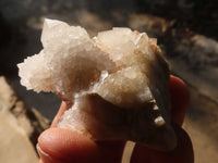 Natural White Cactus Flower Spirit Quartz Specimens x 35 From Boekenhouthoek, South Africa - Toprock Gemstones and Minerals