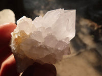 Natural White Cactus Flower Spirit Quartz Specimens x 35 From Boekenhouthoek, South Africa - Toprock Gemstones and Minerals
