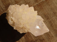 Natural White Cactus Flower Spirit Quartz Specimens x 35 From Boekenhouthoek, South Africa - Toprock Gemstones and Minerals