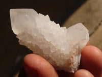 Natural White Cactus Flower Spirit Quartz Specimens x 35 From Boekenhouthoek, South Africa - Toprock Gemstones and Minerals