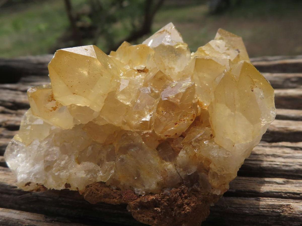 Natural Mixed Selection Of Minerals x 12 From Southern Africa - TopRock