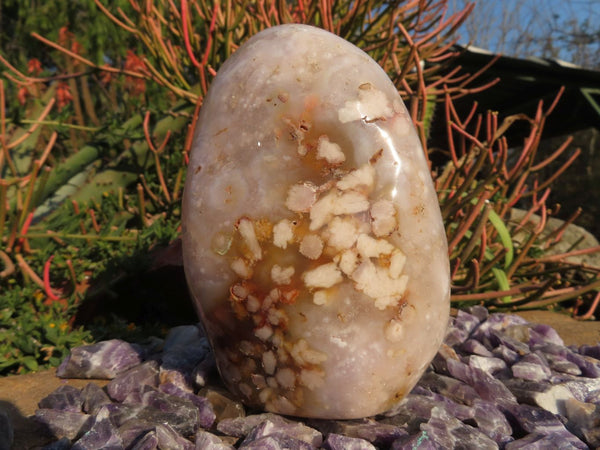 Polished Coral Flower Agate Standing Free Forms x 3 From Madagascar - TopRock