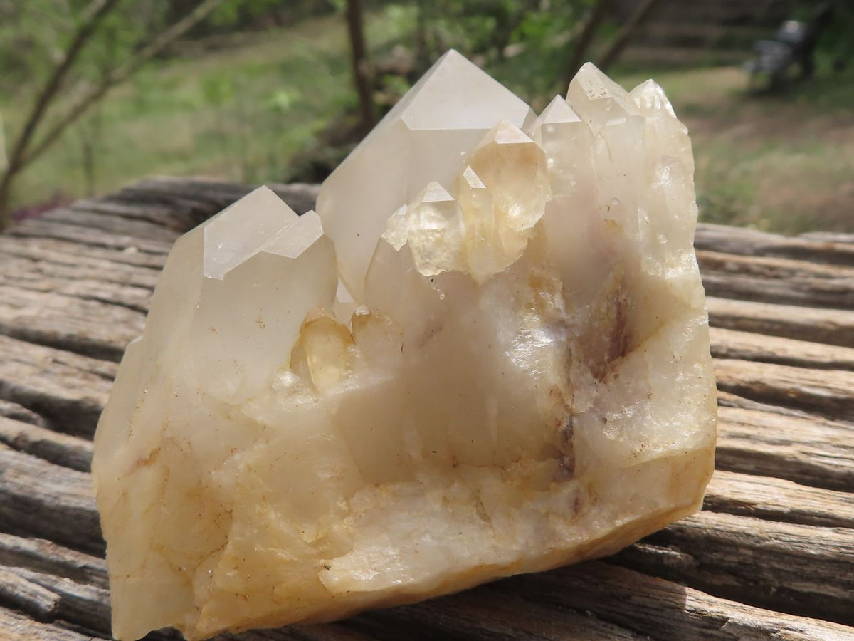 Natural Mixed Selection Of Minerals x 12 From Southern Africa - TopRock