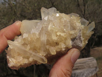 Natural Mixed Selection Of Quartz Clusters x 12 From Mandrosonoro, Madagascar - TopRock
