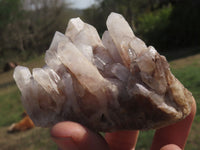 Natural Mixed Selection Of Quartz Clusters x 12 From Mandrosonoro, Madagascar - TopRock