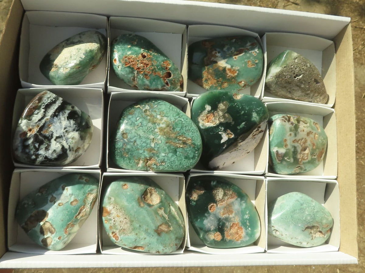 Polished Green Mtorolite Chrome / Emerald Chrysoprase Free Forms x 12 From Zimbabwe - TopRock