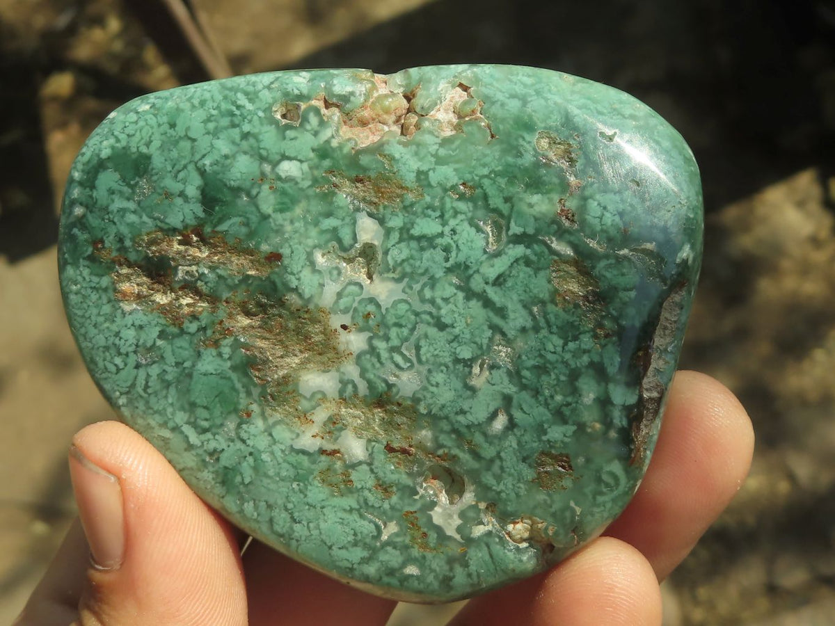 Polished Green Mtorolite Chrome / Emerald Chrysoprase Free Forms x 12 From Zimbabwe - TopRock