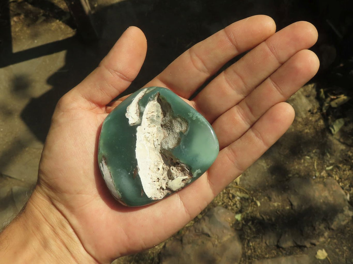 Polished Green Mtorolite Chrome / Emerald Chrysoprase Free Forms x 12 From Zimbabwe - TopRock
