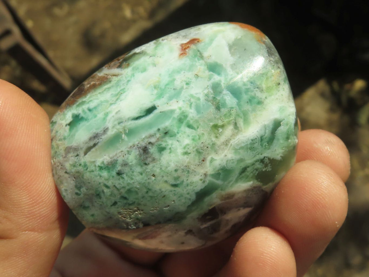 Polished Green Mtorolite Chrome / Emerald Chrysoprase Free Forms x 12 From Zimbabwe - TopRock
