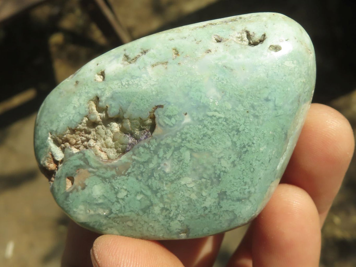 Polished Green Mtorolite Chrome / Emerald Chrysoprase Free Forms x 12 From Zimbabwe - TopRock