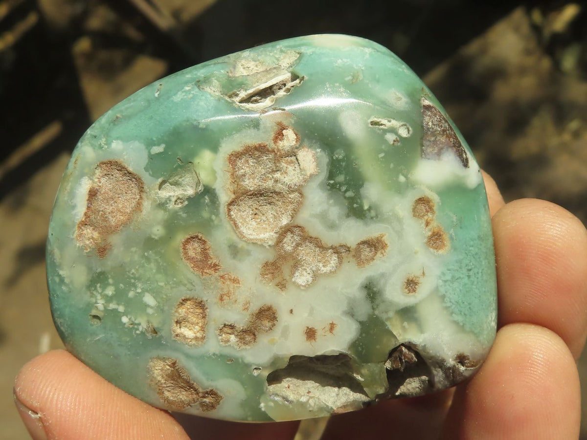 Polished Green Mtorolite Chrome / Emerald Chrysoprase Free Forms x 12 From Zimbabwe - TopRock