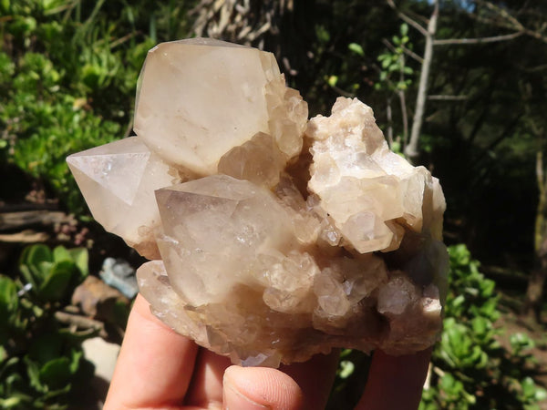 Natural Cascading White Phantom Quartz Clusters  x 6 From Luena, Congo - Toprock Gemstones and Minerals 