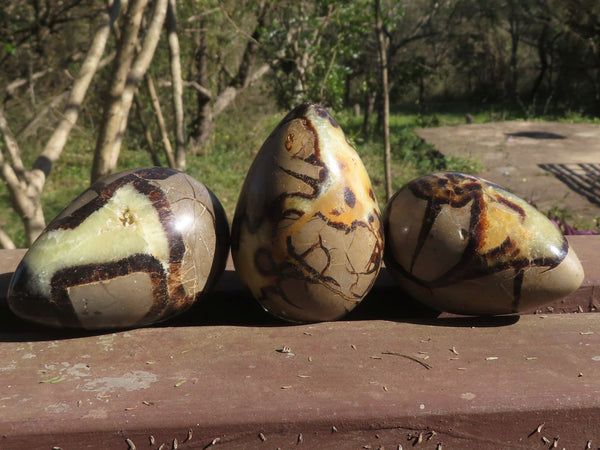 Polished Septerye (Calcite & Aragonite) Dragons Eggs x 3 From Mahajanga, Madagascar - TopRock