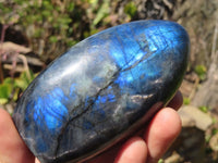 Polished Labradorite Standing Free Forms  x 2 From Tulear, Madagascar - Toprock Gemstones and Minerals