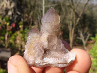 Natural Small White Spirit Quartz Specimens x 70 From Boekenhouthoek, South Africa - Toprock Gemstones and Minerals
