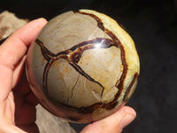 Polished Septaria Spheres x 2 From Madagascar - Toprock Gemstones and Minerals