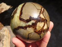 Polished Septaria Spheres x 2 From Madagascar - Toprock Gemstones and Minerals