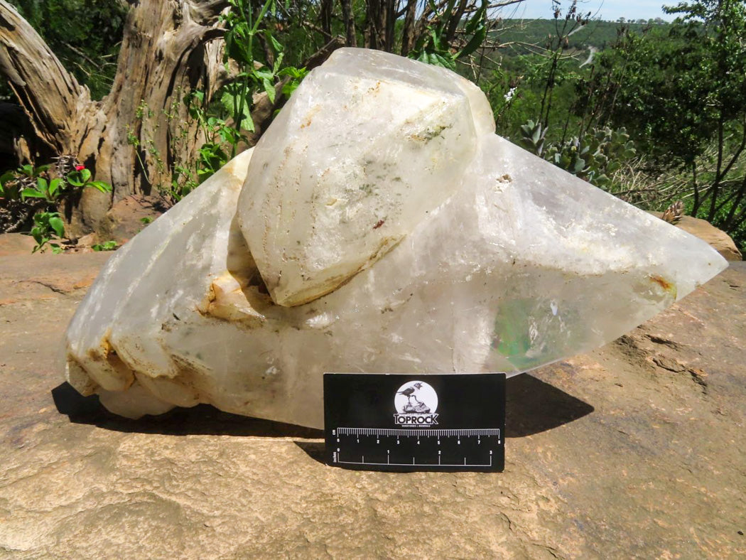 Natural Extra Large Groovy Double Terminated Quartz Crystal x 1 From Mozambique - TopRock