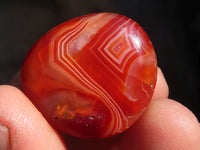 Polished Carnelian Agate Tumble Stones x 1 Kg Lot From Madagascar - Toprock Gemstones and Minerals