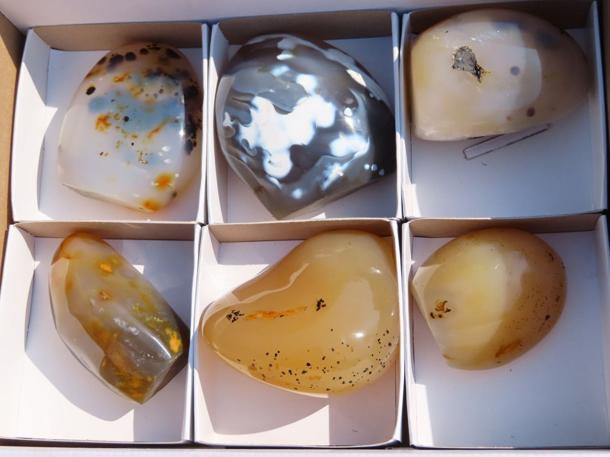 Polished Dendritic Agate Free Forms & x 1 Snow Agate x 6 From Madagascar - TopRock