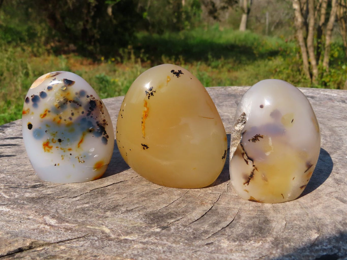 Polished Dendritic Agate Free Forms & x 1 Snow Agate x 6 From Madagascar - TopRock