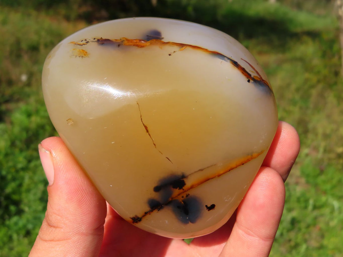 Polished Dendritic Agate Free Forms & x 1 Snow Agate x 6 From Madagascar - TopRock