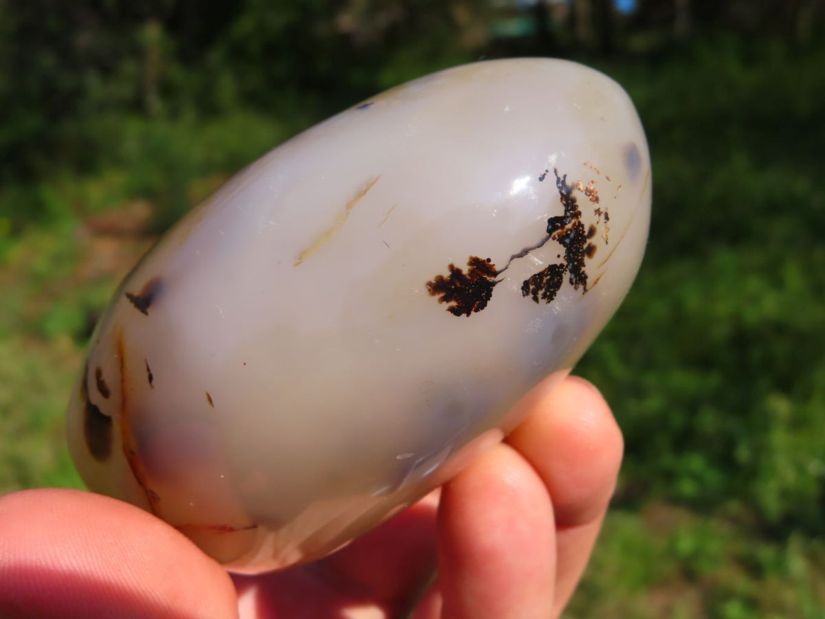 Polished Dendritic Agate Free Forms & x 1 Snow Agate x 6 From Madagascar - TopRock