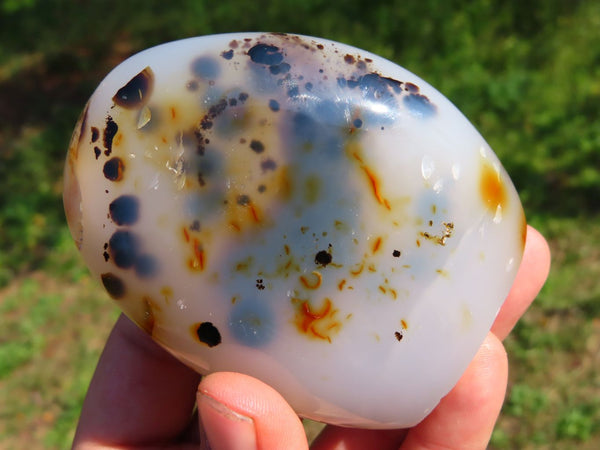 Polished Dendritic Agate Free Forms & x 1 Snow Agate x 6 From Madagascar - TopRock