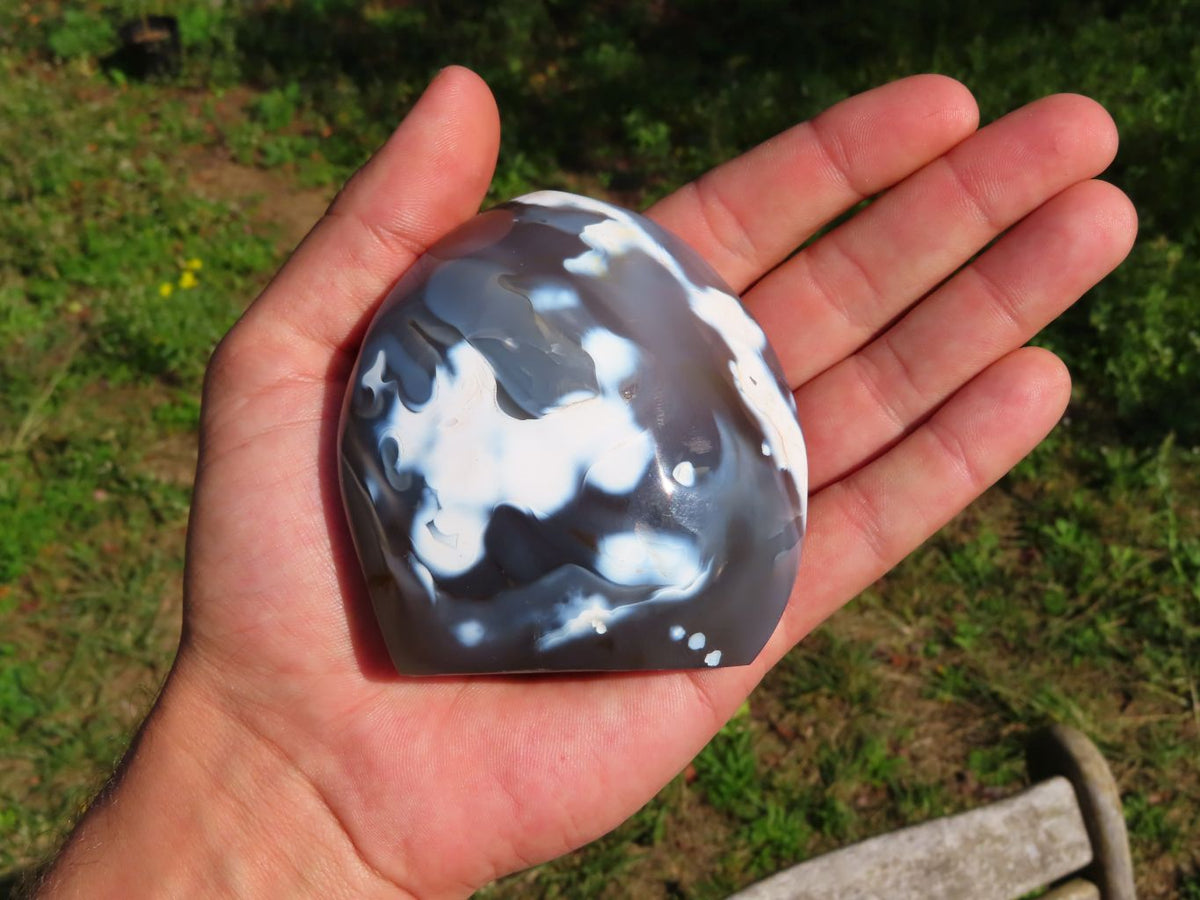 Polished Dendritic Agate Free Forms & x 1 Snow Agate x 6 From Madagascar - TopRock