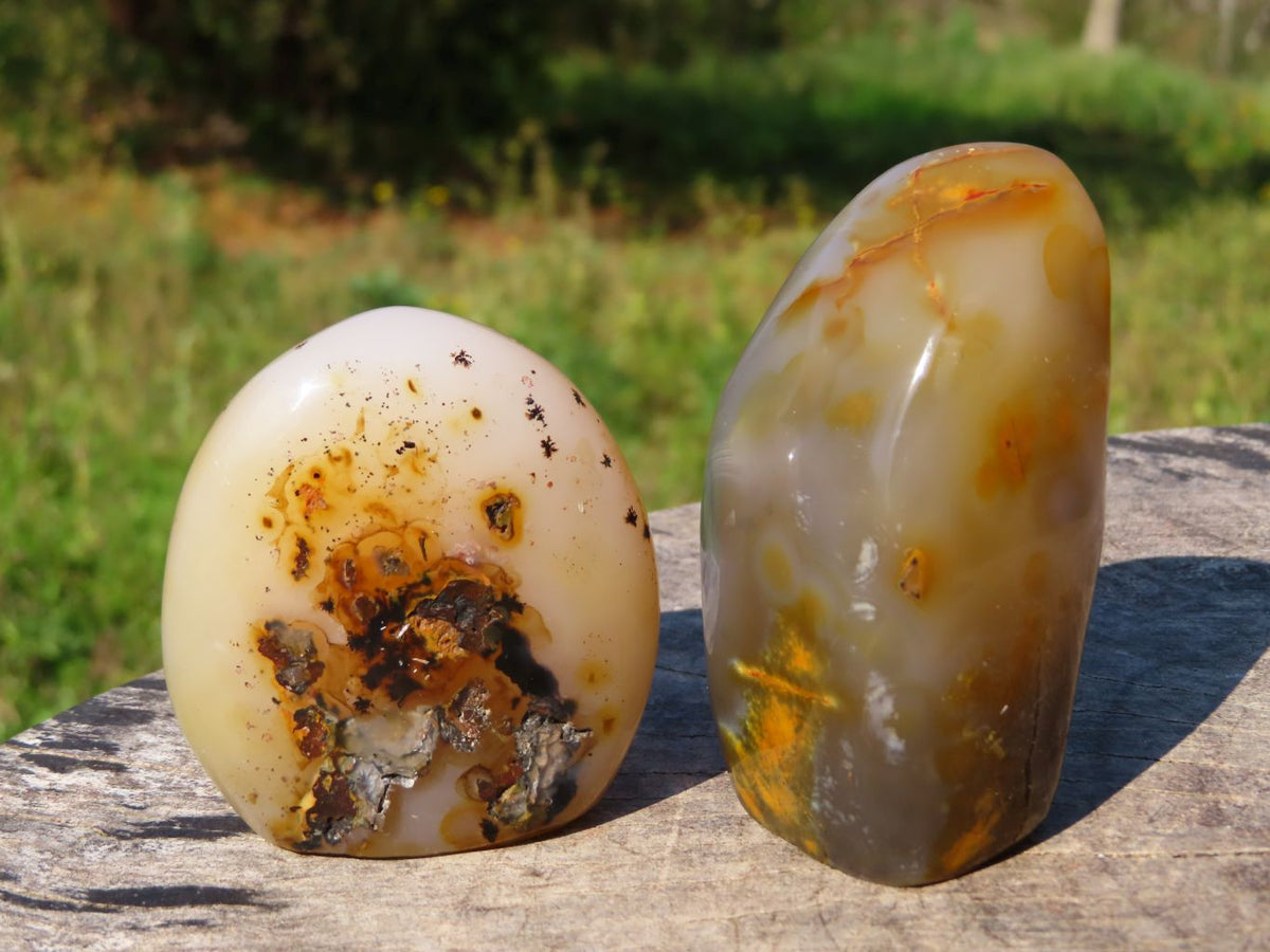 Polished Dendritic Agate Free Forms & x 1 Snow Agate x 6 From Madagascar - TopRock